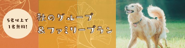 秋のグループファミリープラン