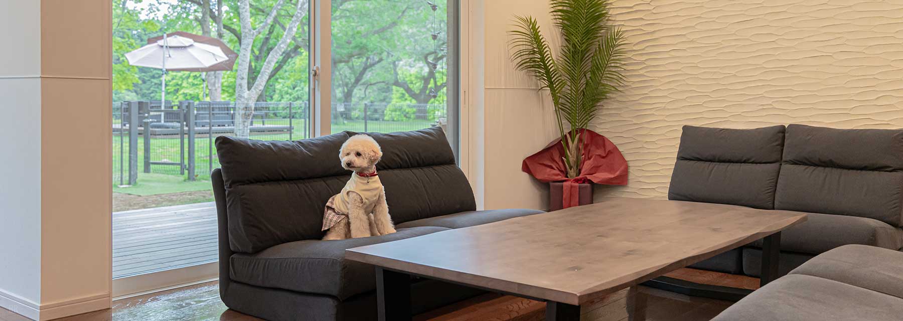 お部屋でくつろぐ犬