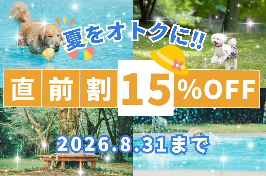 直前割15%OFF
